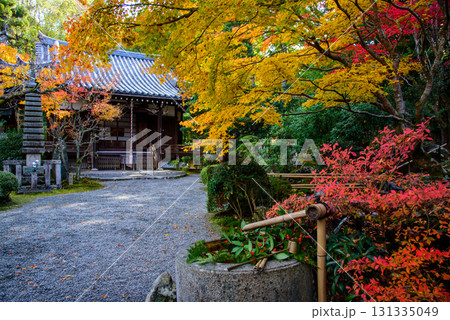 京都泉涌寺の塔頭 新善光寺の庭園 京都泉涌寺の塔頭 新善光寺の庭園 131335049