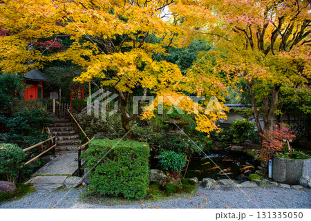 京都泉涌寺の塔頭　新善光寺の庭園 131335050