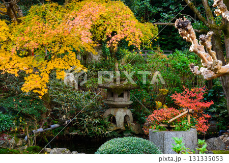 京都泉涌寺の塔頭 新善光寺の庭園 京都泉涌寺の塔頭 新善光寺の庭園 131335053