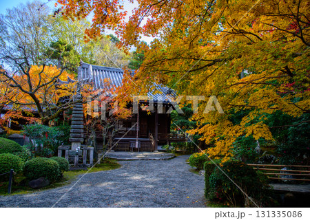 紅葉に包まれた泉涌寺の塔頭　新善光寺 131335086