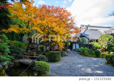 紅葉に包まれた泉涌寺の塔頭　新善光寺 131335088