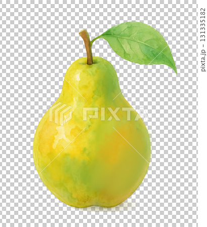 多汁的梨水彩插圖 131335182