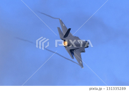 F-35 131335289