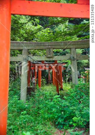 神戸市長田区 高取山の風景 神戸市長田区 高取山の風景 131335489