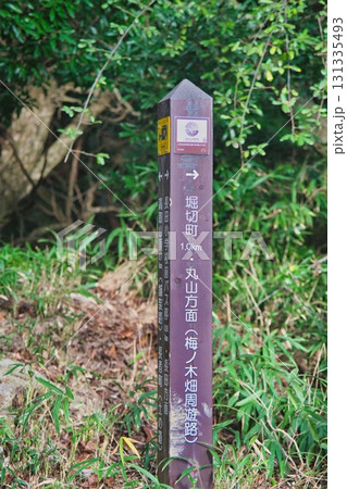 神戸市長田区 高取山の風景 131335493