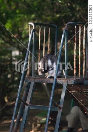 神戸市長田区 高取山の風景 131335505