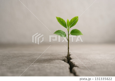 A vibrant green plant emerging from a crack in concrete, symbolizing strength, resilience, and A vibrant green plant emerging from a crack in concrete, symbolizing strength, resilience, and 131335822