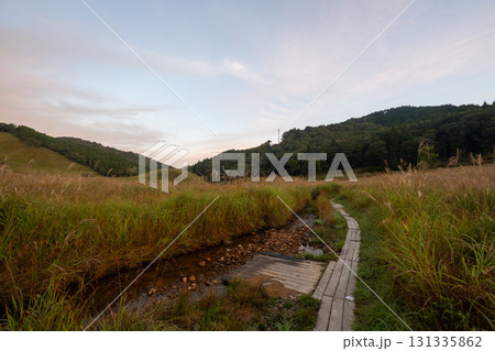 日本の兵庫県の砥峰高原の美しい自然の風景 131335862