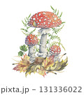 Toadstools with autumn foliage, fern and needles. Hand-painted illustration of mushrooms. Watercolor composition with picturesque amanitas. Perfect for seasonal decor 131336022
