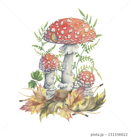 Toadstools with autumn foliage, fern and needles. Hand-painted illustration of mushrooms. Watercolor composition with picturesque amanitas. Perfect for seasonal decor 131336022