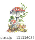 Watercolor toadstools with autumn leaves and forest fern. Hand-painted composition. Watercolor illustration of amanita mushrooms among dry foliage and pine needles. Perfect for seasonal decor 131336024
