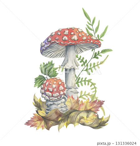 Watercolor toadstools with autumn leaves and forest fern. Hand-painted composition. Watercolor illustration of amanita mushrooms among dry foliage and pine needles. Perfect for seasonal decor 131336024