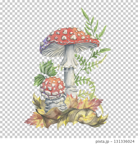 Watercolor toadstools with autumn leaves and forest fern. Hand-painted composition. Watercolor illustration of amanita mushrooms among dry foliage and pine needles. Perfect for seasonal decor 131336024