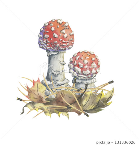 Young agarics in autumn dry leaves. Hand-painted watercolor composition. Picturesque illustration of two small amanita mushrooms, nestled in colorful foliage and pine needles 131336026