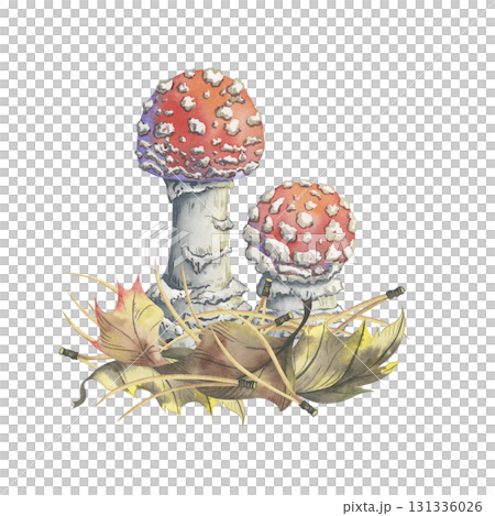 Young agarics in autumn dry leaves. Hand-painted watercolor composition. Picturesque illustration of two small amanita mushrooms, nestled in colorful foliage and pine needles 131336026