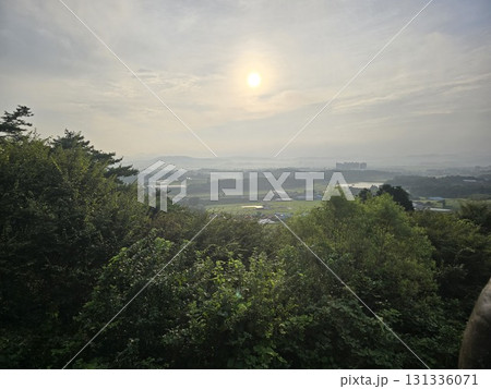 red flower in the garden 131336071