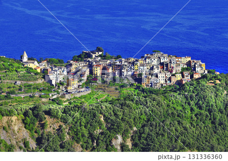 Cinque terre, Italy, corniglia village. Liguria Cinque terre, Italy, corniglia village. Liguria 131336360