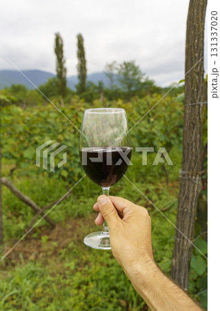 Hand Holding Glass of Red Wine in Vineyard Hand Holding Glass of Red Wine in Vineyard 131337020
