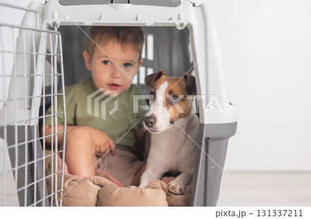 Little child in a cage with a Jack Russell Terrier dog. Little child in a cage with a Jack Russell Terrier dog. 131337211