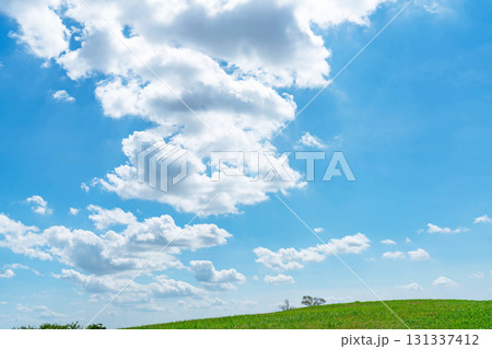 青空と雲と草原 青空と雲と草原 131337412