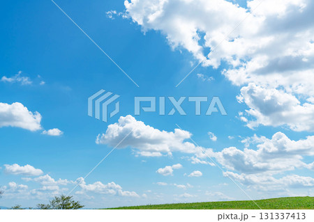 青空と雲と草原 青空と雲と草原 131337413