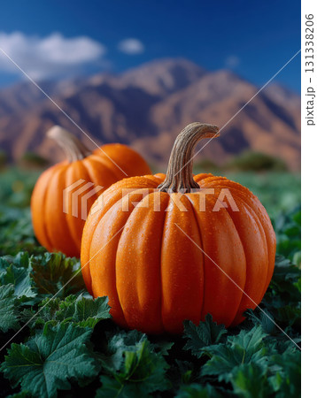 Pumpkins in lush green field with mountain backdrop under clear blue sky, evoking serene autumn atmosphere 131338206