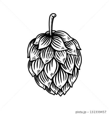 illustration of beer hop in engraving style. Design element for poster, label, sign, emblem, menu. Vector illustration 131339457