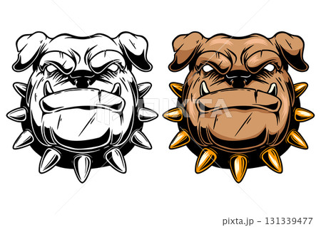 Illustration of pitbull in monochrome and color styles. Design element for t shirt, emblem, badge. Vector illustration 131339477
