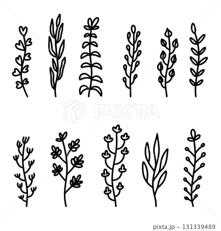 Set of hand drawn floral branches. Design element for decoration. Vector illustration 131339489