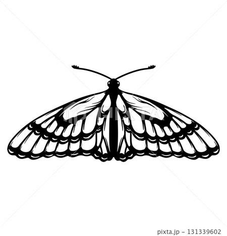 Butterfly illustration isolated on white background. Design element for poster, card, banner, t shirt. Vector illustration Butterfly illustration isolated on white background. Design element for poster, card, banner, t shirt. Vector illustration 131339602