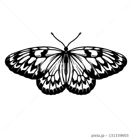 Butterfly illustration isolated on white background. Design element for poster, card, banner, t shirt. Vector illustration 131339603