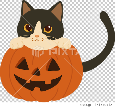 cute halloween cat inside pumpkin jack o lantern for seasonal holiday artwork cute halloween cat inside pumpkin jack o lantern for seasonal holiday artwork 131340412