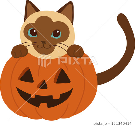 halloween siamese cat with pumpkin jack o lantern cartoon illustration for october holiday design and seasonal decoration 131340414