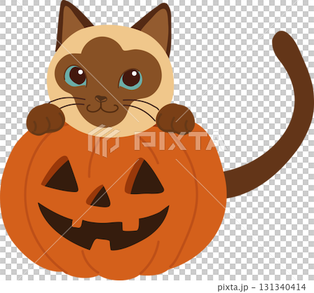 halloween siamese cat with pumpkin jack o lantern cartoon illustration for october holiday design and seasonal decoration 131340414