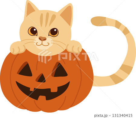 halloween cat cute illustration with pumpkin jack o lantern cartoon kitten for autumn holiday trick or treat and october celebration artwork. 131340415