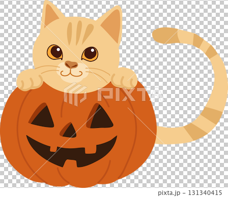halloween cat cute illustration with pumpkin jack o lantern cartoon kitten for autumn holiday trick or treat and october celebration artwork. 131340415