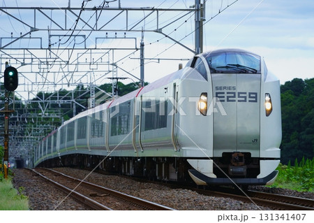 【リニューアル塗装】成田空港と首都圏を結ぶ特急成田エクスプレス 131341407