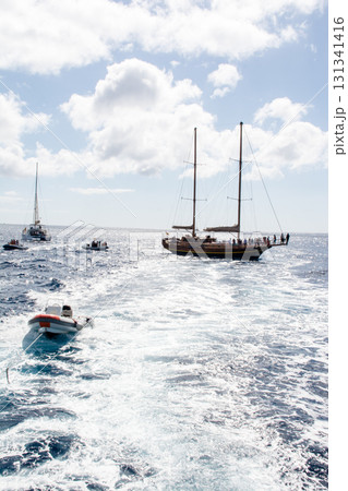 海上に集まった帆船や大きなヨット　カナリア諸島のフエルテベンテュラ島の海にて 131341416