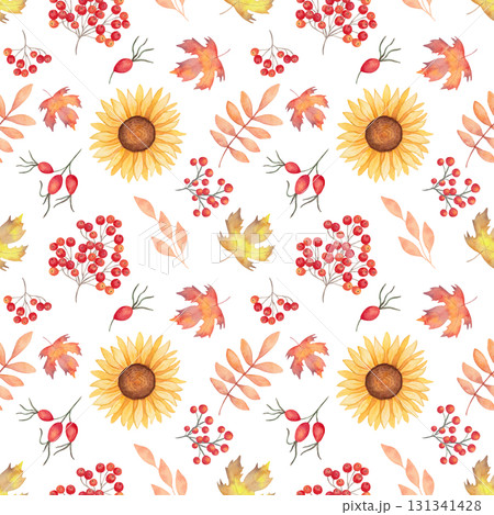 A seamless pattern with berries, mushrooms, and flowers for Thanksgiving. Watercolor illustration. Hand drawn isolated botanical art. Background with sunflowers, rose hips, rowan berries maple. 131341428