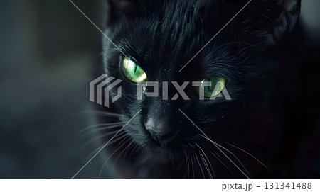 Portrait of a black cat 131341488