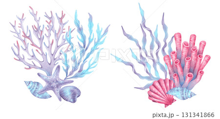 Composition with sea corals, a starfish, shells and seaweed. Watercolor illustration of blue and pink underwater animals. Hand drawn isolated art. Coral reef underwater for children's design, guide. 131341866