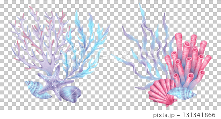 Composition with sea corals, a starfish, shells and seaweed. Watercolor illustration of blue and pink underwater animals. Hand drawn isolated art. Coral reef underwater for children's design, guide. Composition with sea corals, a starfish, shells and seaweed. Watercolor illustration of blue and pink underwater animals. Hand drawn isolated art. Coral reef underwater for children's design, guide. 131341866