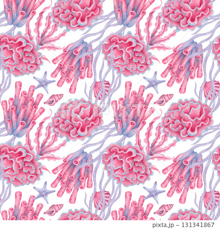 Seamless marine pattern with corals, shells, seaweed and starfish. Watercolor illustrations of underwater animals. Hand drawn isolated art. Tropical ocean atmosphere for fabric, wallpaper, textiles. Seamless marine pattern with corals, shells, seaweed and starfish. Watercolor illustrations of underwater animals. Hand drawn isolated art. Tropical ocean atmosphere for fabric, wallpaper, textiles. 131341867