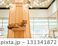 猫カフェ　猫　マンチカン 131341872