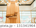 猫カフェ　猫　マンチカン 131341964