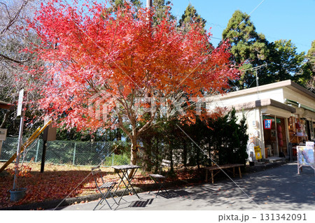 愛知県新城市_鳳来寺山パークウェイ駐車場3_2024年12月 131342091