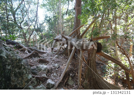 愛知県新城市_鳳来寺山登山道(山頂から奥之院)3_2024年12月 愛知県新城市_鳳来寺山登山道(山頂から奥之院)3_2024年12月 131342131