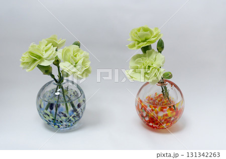 白背景で暖色と寒色の一輪挿しにそれぞれに緑のカーネーションの花とつぼみの生け花 白背景で暖色と寒色の一輪挿しにそれぞれに緑のカーネーションの花とつぼみの生け花 131342263