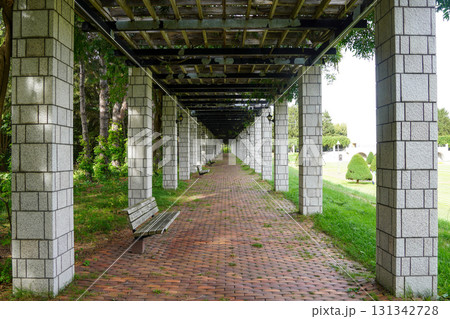 前田森林公園。藤棚の下で。 131342728