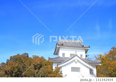 愛知県豊田市、挙母城復興隅櫓の風景 愛知県豊田市、挙母城復興隅櫓の風景 131342934